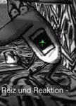 Reiz und Reaktion Vortrag